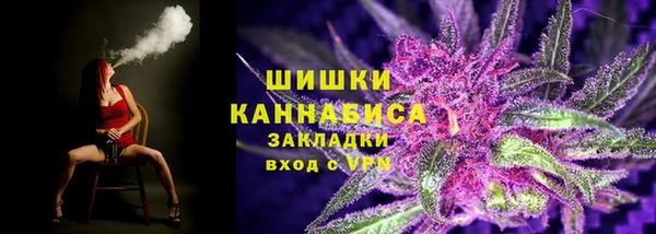 дживик Козельск