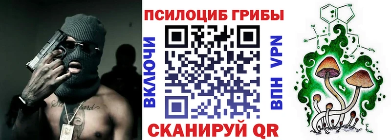 Псилоцибиновые грибы Magic Shrooms  Купить  Гагарин 
